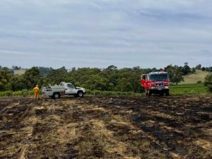 CFAs put out paddock fire