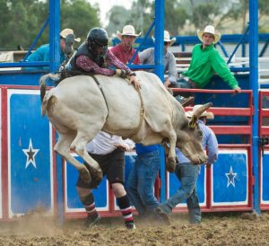 Yarra Valley Pro Rodeo returns
