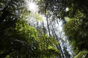 How to make your trip as easy and safe as ‘a walk in the park’