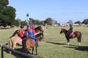 Horse Talk