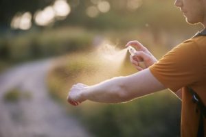 Mosquito numbers increasing over summer