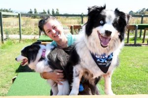 Biggest edition of Adventure Dog up soon
