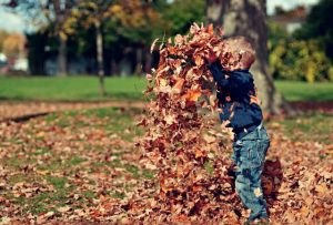 WHYLD’s Autumn Harvest minimarket on this Sunday