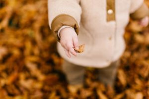 WHYLD Autumn minimarket cancelled due to total fire ban