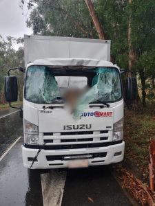 Truck driver has lucky escape after launched deer smashes through windscreen in Launching Place