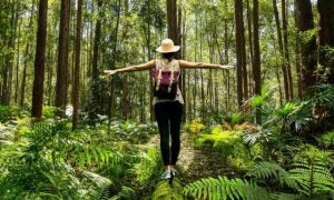 Three… Earth Hour facts