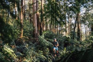 Film series captures a run through the proposed Great Forest National Park