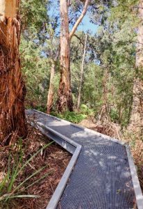Millgrove River Road Community Walking Track complete