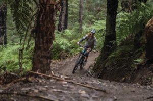 Council seek to streamline Warburton Mountain Bike Destination delivery with amendment