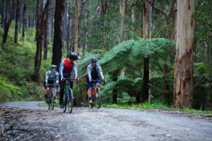 Social gravel bike ride this Saturday with Giro Della Donna postponed