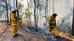 Planned burns in the Upper Yarra
