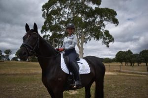 Shirley Heights striving for equestrian excellence