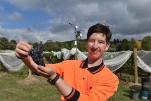 From vine to wine at UYSC