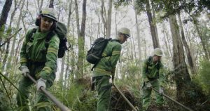 Yarra Ranges set to hold planned burning works to reduce bushfire risk