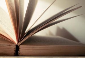 Fast-paced crime novel for primary school kids