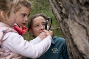 Junior Rangers jumping into the Yarra Ranges this school holidays