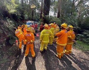 Emergency services rescue motorcyclist from gully