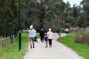 Draft master plan sets sights on Lillydale Lake improvements