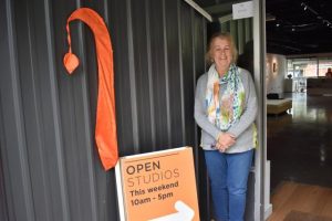 YAVA offering opportunities for artists at Open Studios