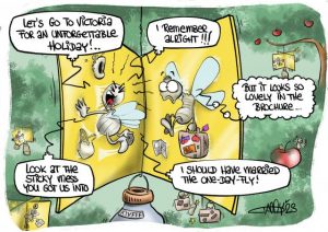CARTOON: Frantic about Flies