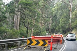 Community Support Network helping carpool during Warburton Highway closure