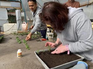 Helping hands bettering our environment