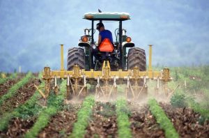 Big budget investment in biosecurity propped up by levy on farmers