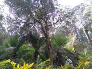 Environmental groups surveying statewide