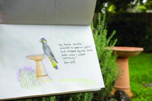 Take a look in your own backyard