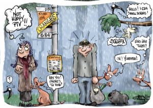 CARTOON: Bring Back the Bus