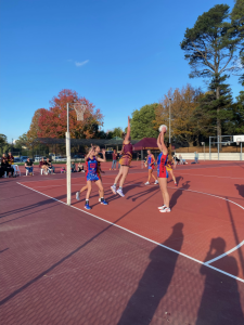 Wandin win across the board