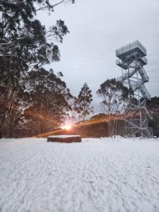 Last chance to see snow on Mt Donna Buang this week