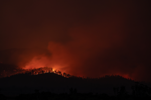 Research examines youth role in disasters