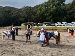 Horse Talk