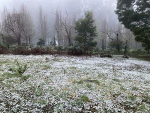 Three…winter activities