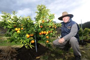 Rural Advisory Committee up for refresh
