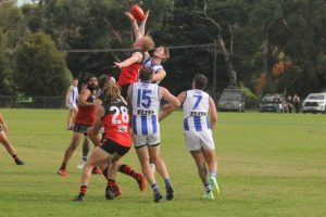 Warburton-Millgrove and Alexandra stand out in Division Two
