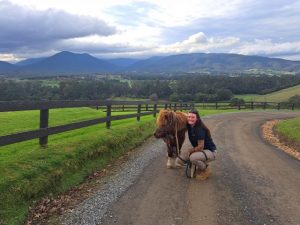 Community Safety Officers help Max back home