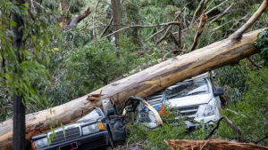 Two years on from the storm