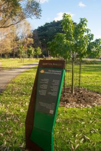 Avenue of Honour opened in Millgrove