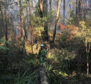 Applications open for full-time firefighters in Powelltown, Olinda and Knoxfield