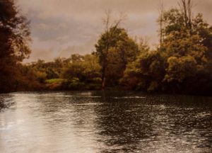 Down to earth exhibition on show next month at TarraWarra Museum of Art
