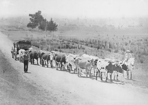 Changes in Yarra Glen’s transport routes
