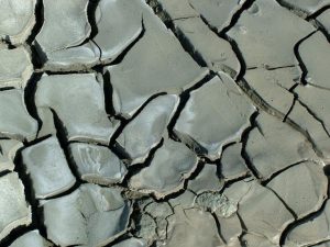 El Niño declared, hot and dry weather expected