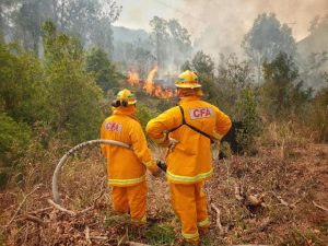 Prepare now for bush fire season