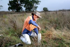 Campaign shines a spotlight on grassroots biosecurity