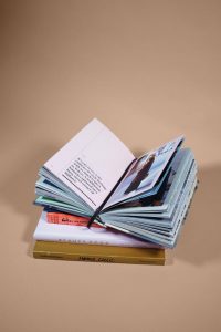 Ask and listen: A review of Adam and His Tuba by Žiga X. Gombač