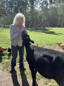Getting back to life and country