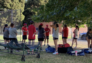 Women’s cricket a-go