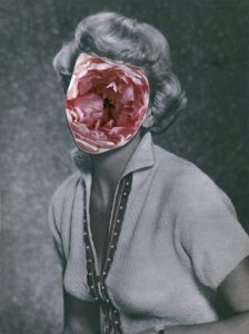 ‘I wonder why people have such a visceral reaction to it’: Suzanne Phoenix launches new collage exhibition